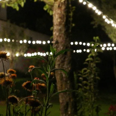 Casa De Piellas 4* Кабесейраш-ди-Башту