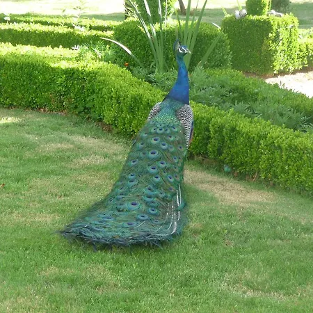 Casa De Piellas Гостевой дом 4*