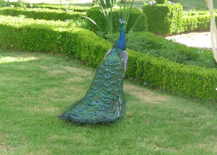 Casa De Piellas Pensión 4*